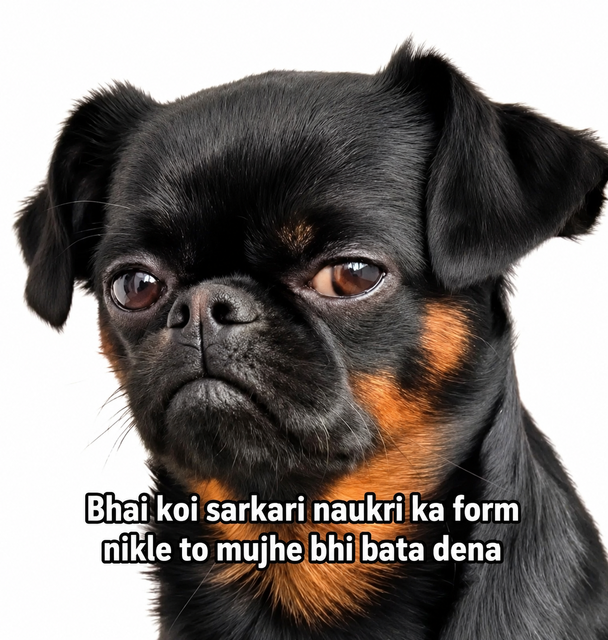 Post image 1